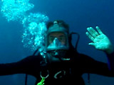 Cage-diving with Great White Sharks.